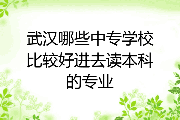 武汉哪些中专学校比较好进去读本科的专业