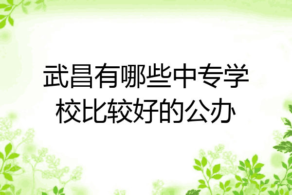 武昌有哪些中专学校比较好的公办