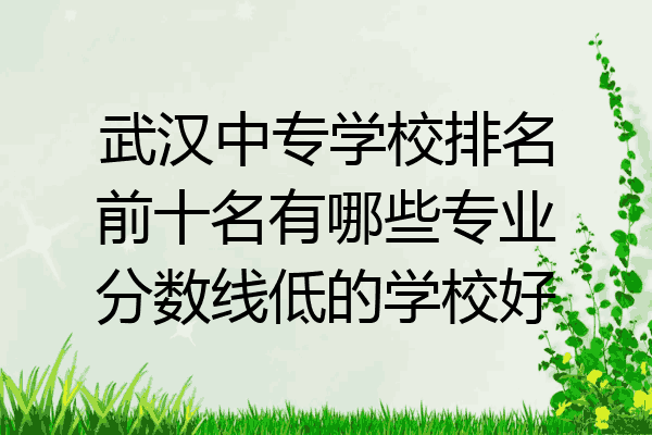 武汉中专学校排名前十名有哪些专业分数线低的学校好