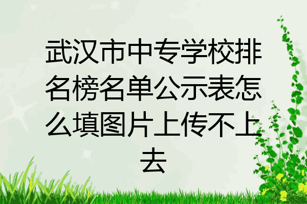武汉市中专学校排名榜名单公示表怎么填图片上传不上去