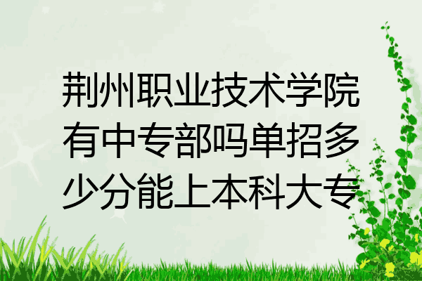 荆州职业技术学院有中专部吗单招多少分能上本科大专