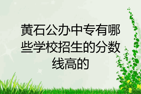 黄石公办中专有哪些学校招生的分数线高的