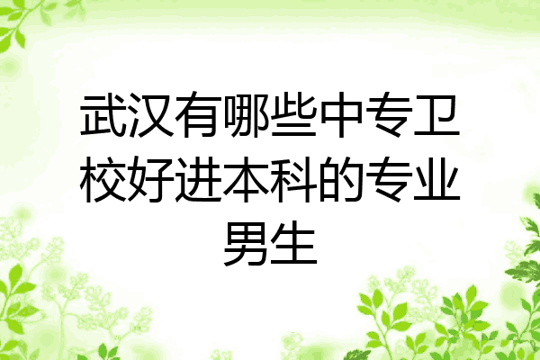 武汉有哪些中专卫校好进本科的专业男生