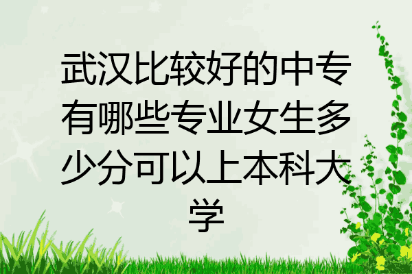 武汉比较好的中专有哪些专业女生多少分可以上本科大学
