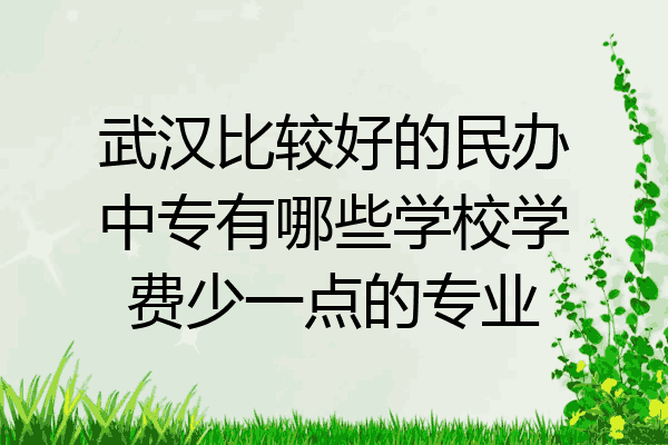 武汉比较好的民办中专有哪些学校学费少一点的专业