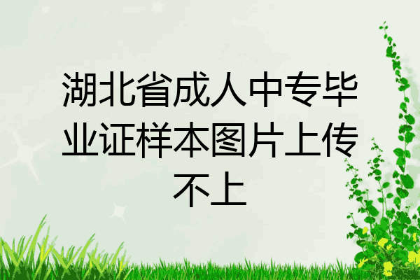 湖北省成人中专毕业证样本图片上传不上