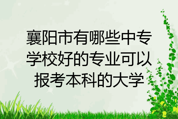 襄阳市有哪些中专学校好的专业可以报考本科的大学