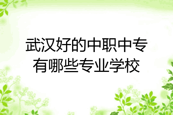 武汉好的中职中专有哪些专业学校