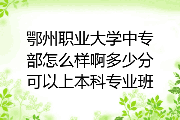 鄂州职业大学中专部怎么样啊多少分可以上本科专业班