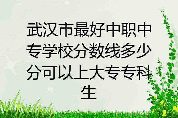武汉市最好中职中专学校分数线多少分可以上大专专科生