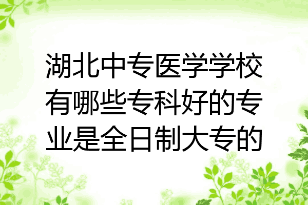 湖北中专医学学校有哪些专科好的专业是全日制大专的