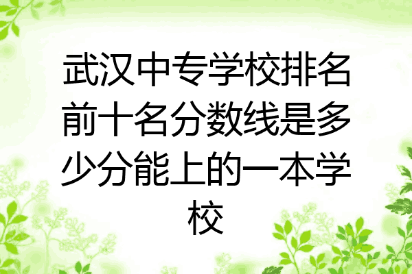 武汉中专学校排名前十名分数线是多少分能上的一本学校