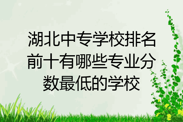 湖北中专学校排名前十有哪些专业分数最低的学校