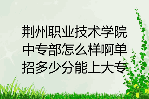 荆州职业技术学院中专部怎么样啊单招多少分能上大专