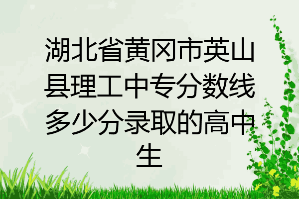 湖北省黄冈市英山县理工中专分数线多少分录取的高中生