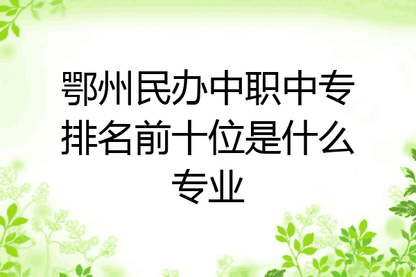 鄂州民办中职中专排名前十位是什么专业