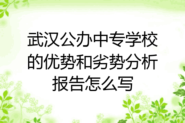 武汉公办中专学校的优势和劣势分析报告怎么写