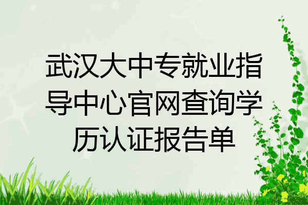 武汉大中专就业指导中心官网查询学历认证报告单