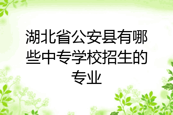 湖北省公安县有哪些中专学校招生的专业