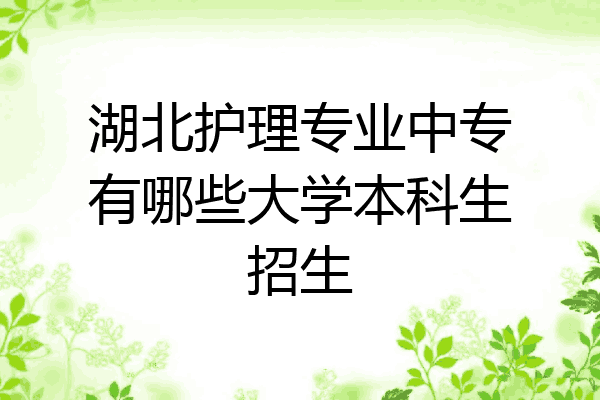 湖北护理专业中专有哪些大学本科生招生