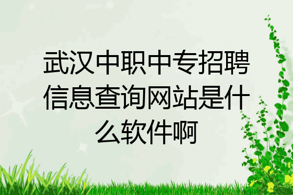 武汉中职中专招聘信息查询网站是什么软件啊