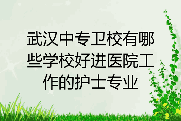 武汉中专卫校有哪些学校好进医院工作的护士专业
