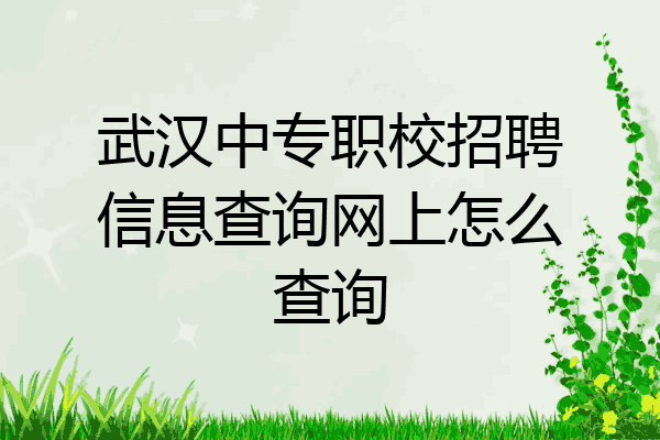 武汉中专职校招聘信息查询网上怎么查询