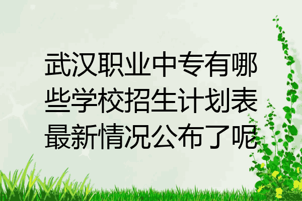 武汉职业中专有哪些学校招生计划表最新情况公布了呢