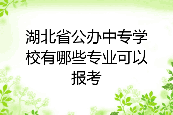 湖北省公办中专学校有哪些专业可以报考