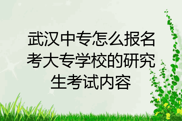 武汉中专怎么报名考大专学校的研究生考试内容