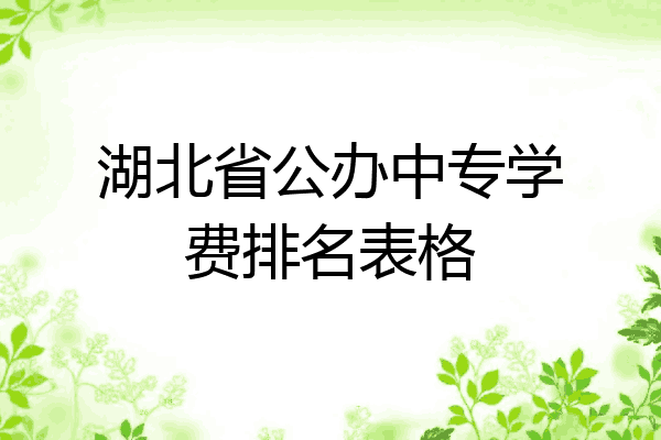 湖北省公办中专学费排名表格