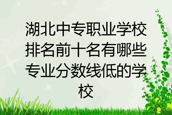湖北中专职业学校排名前十名有哪些专业分数线低的学校