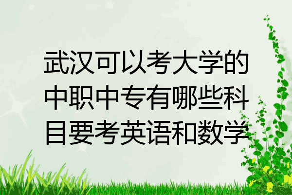 武汉可以考大学的中职中专有哪些科目要考英语和数学