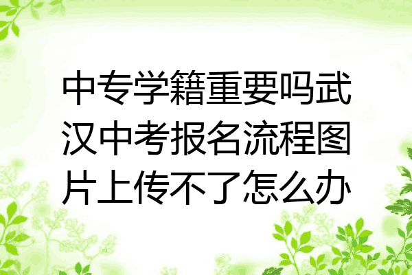 中专学籍重要吗武汉中考报名流程图片上传不了怎么办