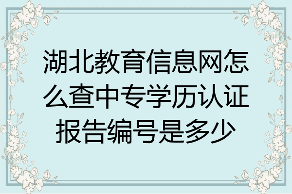 湖北教育信息网怎么查中专学历认证报告编号是多少