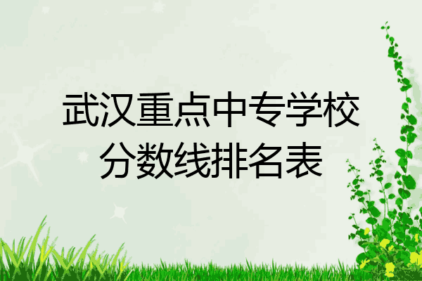 武汉重点中专学校分数线排名表