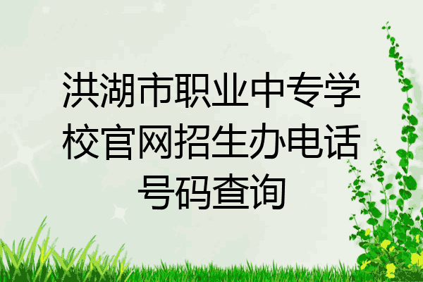 洪湖市职业中专学校官网招生办电话号码查询