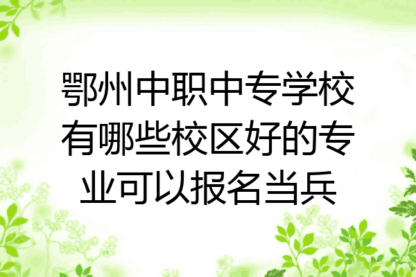 鄂州中职中专学校有哪些校区好的专业可以报名当兵