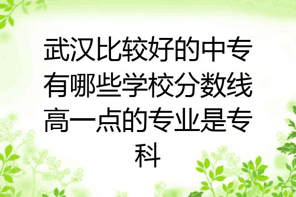 武汉比较好的中专有哪些学校分数线高一点的专业是专科