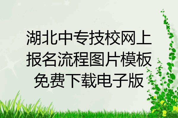 湖北中专技校网上报名流程图片模板免费下载电子版
