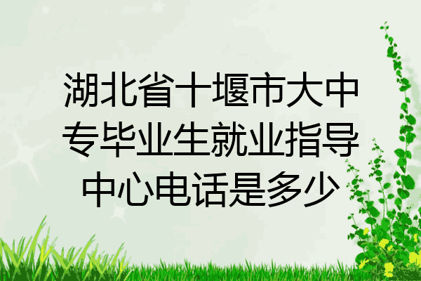 湖北省十堰市大中专毕业生就业指导中心电话是多少