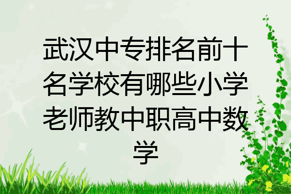 武汉中专排名前十名学校有哪些小学老师教中职高中数学