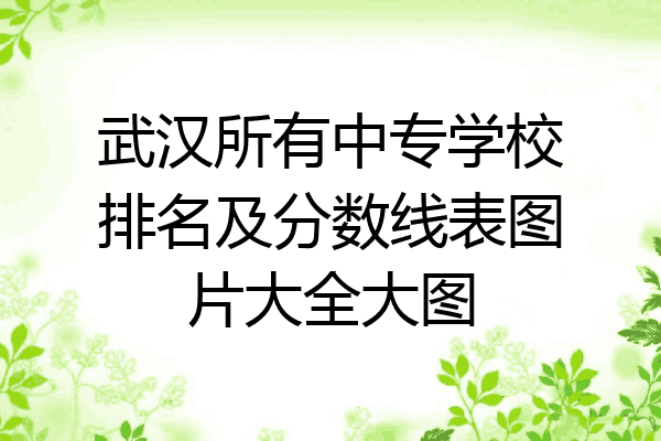 武汉所有中专学校排名及分数线表图片大全大图