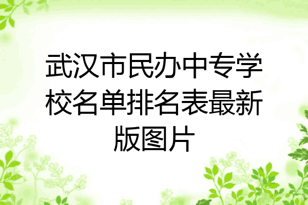 武汉市民办中专学校名单排名表最新版图片