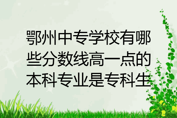 鄂州中专学校有哪些分数线高一点的本科专业是专科生