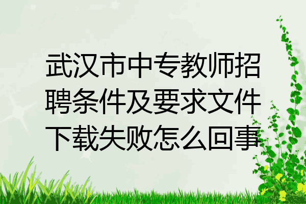 武汉市中专教师招聘条件及要求文件下载失败怎么回事