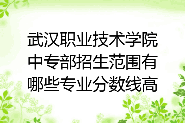 武汉职业技术学院中专部招生范围有哪些专业分数线高
