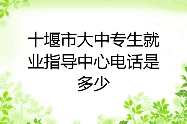 十堰市大中专生就业指导中心电话是多少