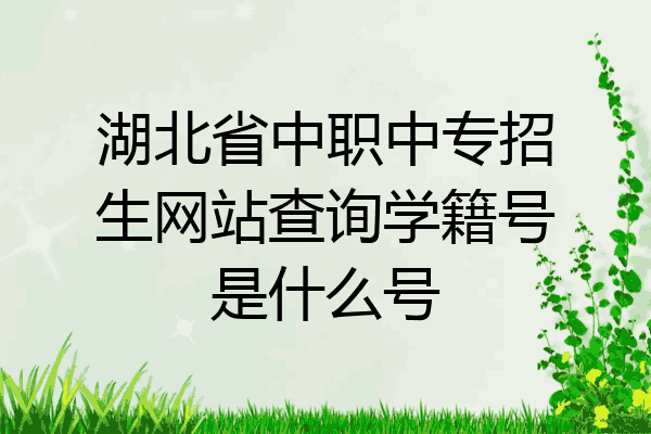 湖北省中职中专招生网站查询学籍号是什么号