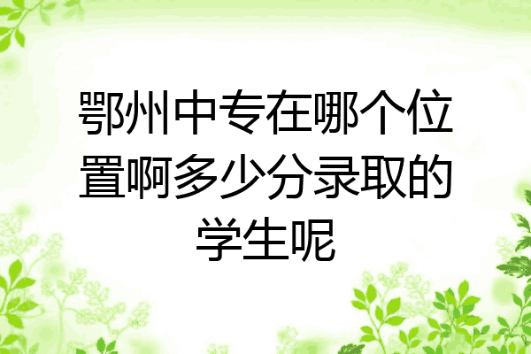 鄂州中专在哪个位置啊多少分录取的学生呢